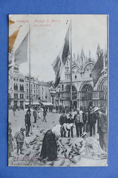 Cartolina Venezia - Piazza S. Marco con piccioni - 1903
