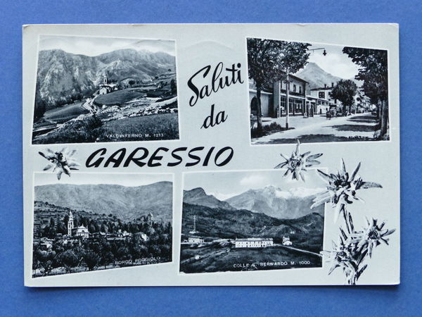 Cartolina Garessio - Varie vedute - 1973