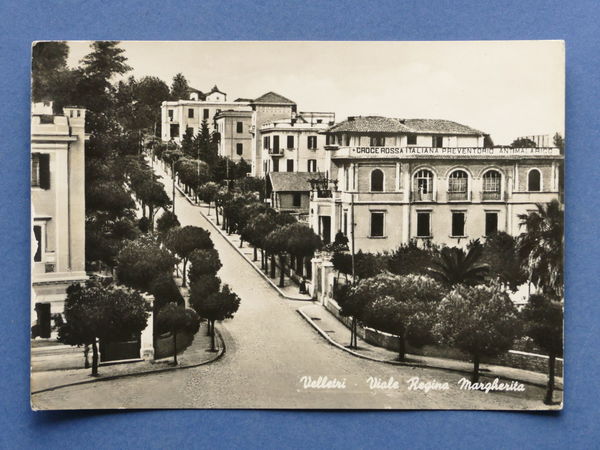 Cartolina Velletri - Viale Regina Margherita - 1955