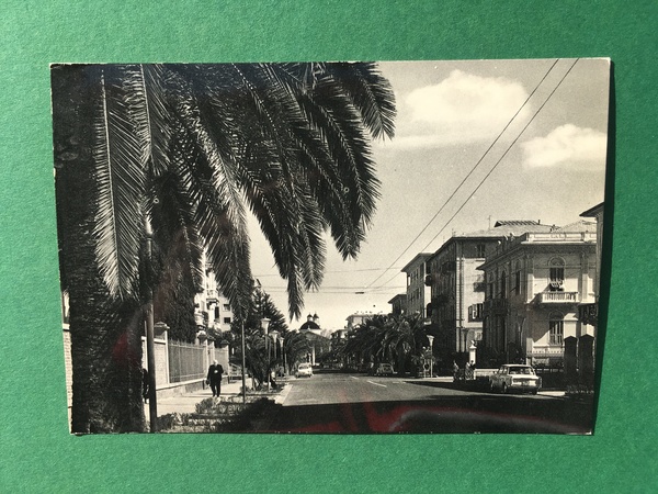 Cartolina Chiavari - Viale Delle Palme - 1960 Ca.