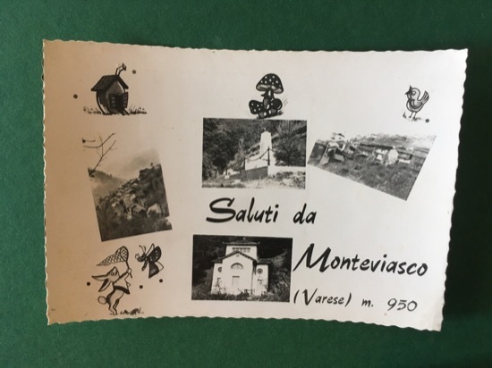 Cartolina Saluti Da Monteviasco m.950 - 1950