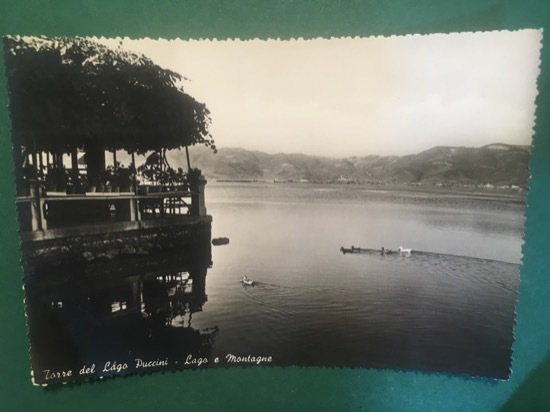 Cartolina Torre Del Lago Puccini - Lago E Montagne - …