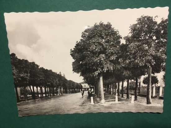 Cartolina Faenza - Viale Della Stazione - 1960ca.