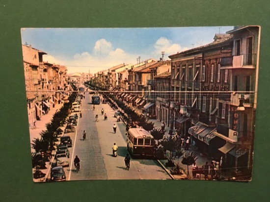 Cartolina Civitanova Marche - Corso Umberto - 1965
