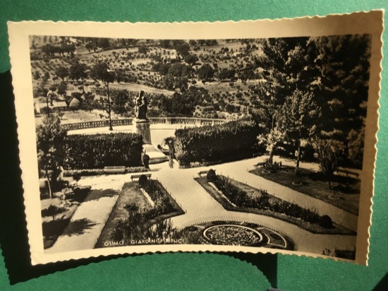 Cartolina Osimo - Giardini Pubblici - 1951