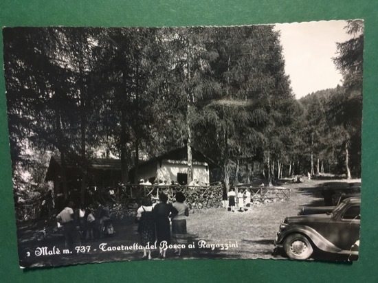 Cartolina MalÃ¨ m.737 - Cavernetta Del Bosco Ai Ragazzini - …