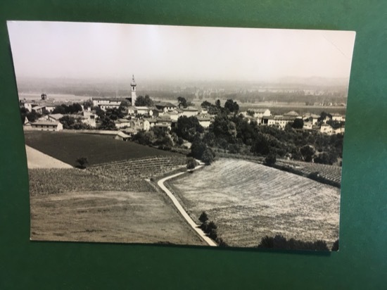 Cartolina Terruggia - Panorama - 1960 ca.