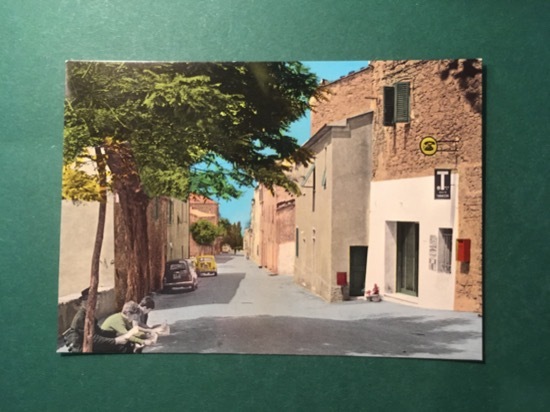 Cartolina Vetulonia - Via Garibaldi - 1957 ca.