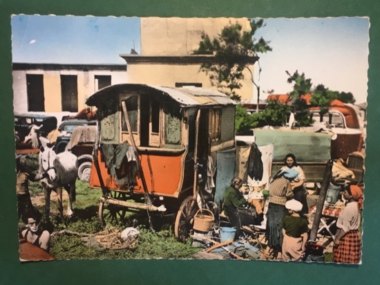Cartolina En Camargue - Pèlerins Gitans Et Leur Campement Aux …