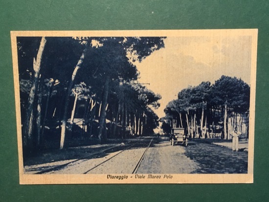 Cartolina Viareggio - Viale Marco Polo - 1928 ca.