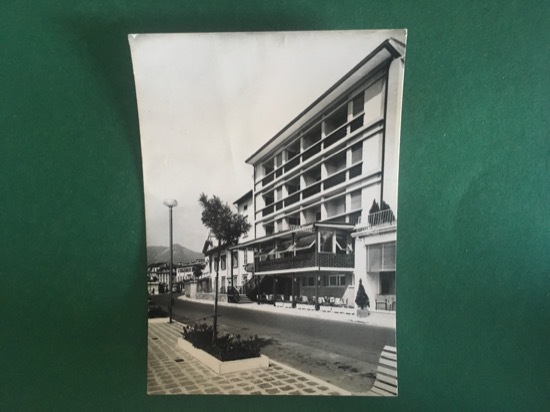 Cartolina Albergo Vigna - Lungo Lago - Salo Da Miro …