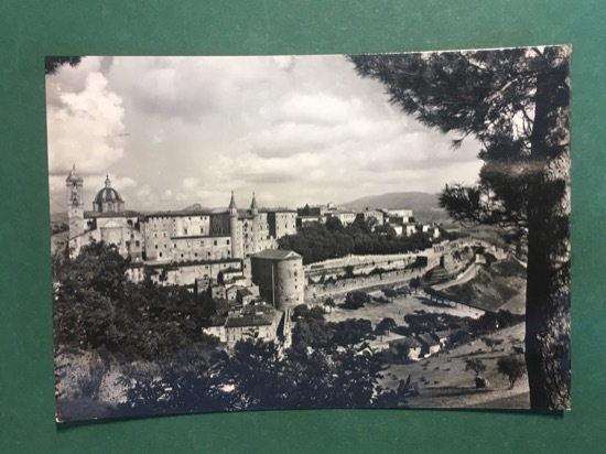 Cartolina Urbino - Panorama - 1957