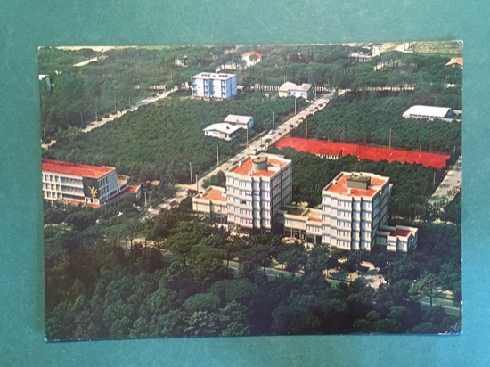 Cartolina Marina Romea - Ravenna - Panorama - 1970