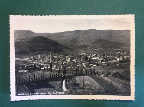 Cartolina Arzignano - Panorama Dal Castello - 1952