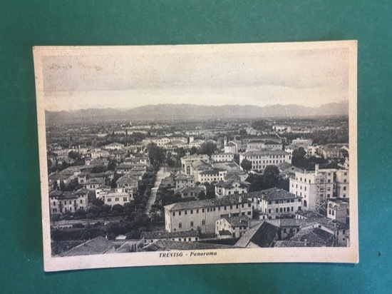 Cartolina Treviso - Panorama - 1951