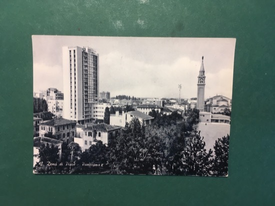 Cartolina S. Dono di Piave - Panorama - 1964