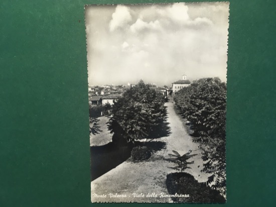 Cartolina Monte Valenza - Viale Della Rimembranza - 1960 ca.