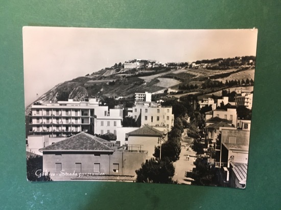 Cartolina Gabice - Strada Panoramica - 1960