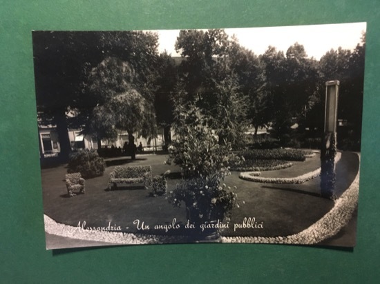 Cartolina Alessandria - Un Angolo dei Giardini Pubblici - 1960 …