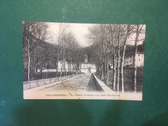 Cartolina Vallombrosa - R. Istituto Forestale Visto Dallo Stradellone - …