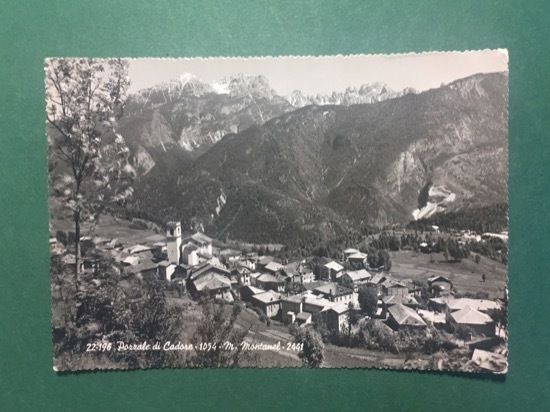 Cartolina Pozzale di Cadore - M. Montanel - 1960