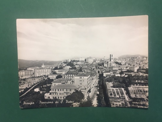 Cartolina Perugia - Panorama da S. Pietro - 1960 ca.