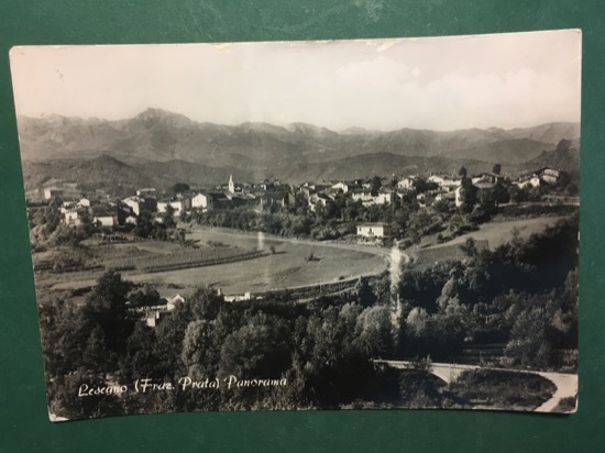 Cartolina Lesegno - Panorama - 1960 ca.