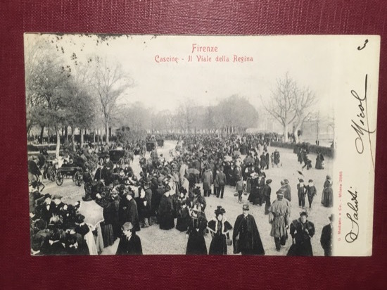 Cartolina Firenze - Cascine - Il Viale della Regina - …