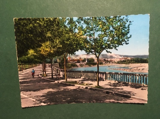 Cartolina Casale Monferrato - Lungo Po - 1965