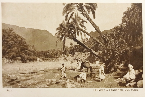 Cartolina Coloniale - Tunisia - L'Uadi - 1920 ca.