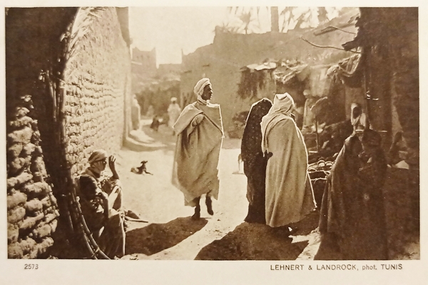 Cartolina Coloniale - Tunisia - Villaggio nell'Oasi - 1920 ca.