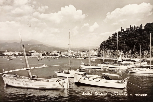 Cartolina - Sestri Levante - Barche a riposo - 1958
