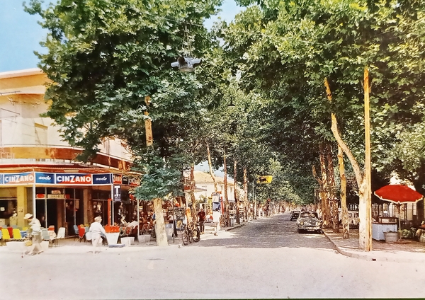 Cartolina - Cervia - Viale Cristoforo Colombo - 1965