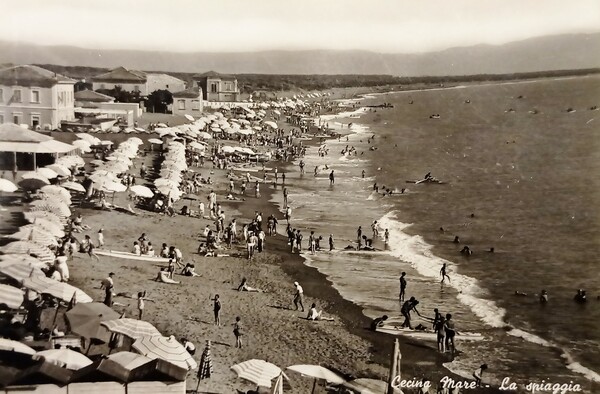 Cartolina - Cecina Mare - La Spiaggia - 1956