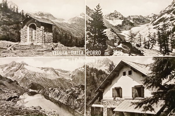 Cartolina - Veduta dalla Porro ( Valmalenco ) - Vedute …