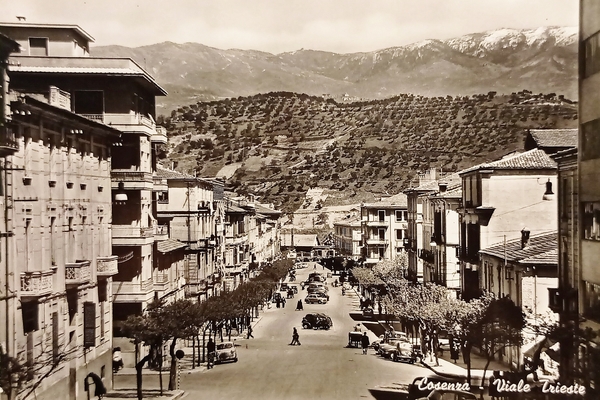 Cartolina - Cosenza - Viale Trieste - 1960 ca.