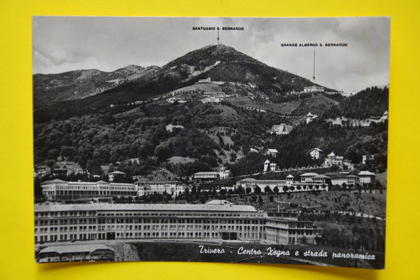 Cartolina Trivero Centro Zegna E Strada Panoramica 1959