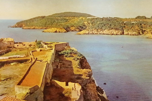 Cartolina - Isole Tremiti - San Domino - Panorama - …