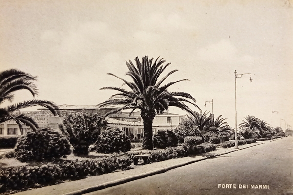 Cartolina - Forte dei Marmi ( Lucca ) - 1950