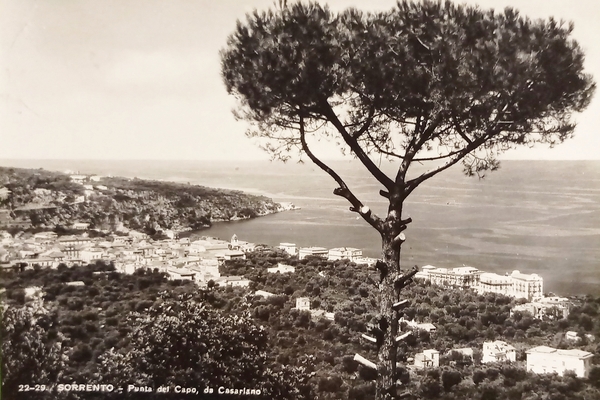 Cartolina - Sorrento - Punta del Capo - 1950 ca.