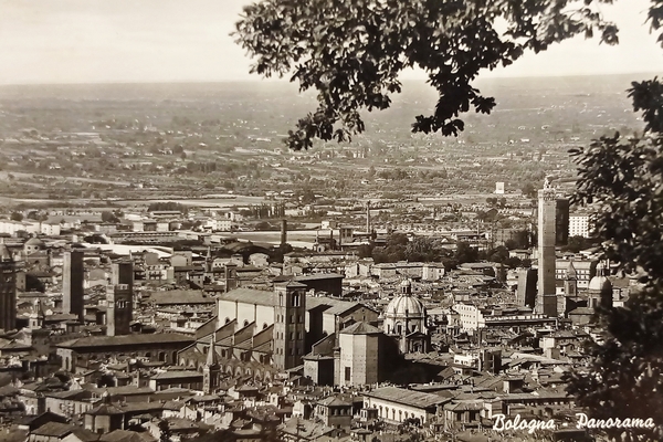 Cartolina - Bologna - Panorama - 1953