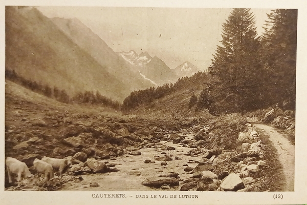 Cartolina - Francia - Cauterets - Dans le Val Lutour …