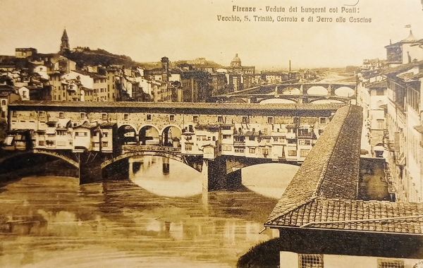 Cartolina - Firenze - Veduta del Lungarni coi Ponti - …