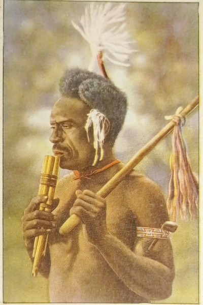 Cartolina Costumi - Oceania - Nelle Isole Salomoni un indigeno …