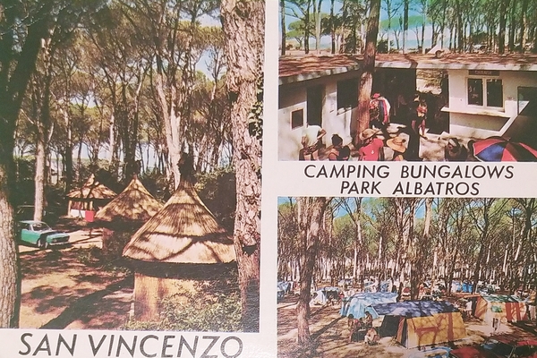 Cartolina - San Vincenzo - Camping Bungalow - Park Albatros …