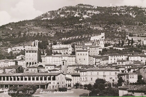 Cartolina - Gubbio - Scorcio Panoramico - 1955 ca.