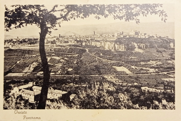 Cartolina - Orvieto - Panorama - 1951