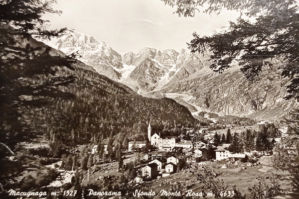 Cartolina - Macugnaga - Panorama - Sfondo Monte Rosa - …