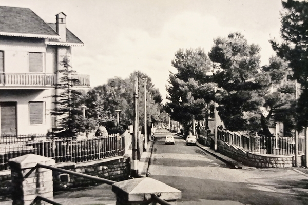 Cartolina - Nicolosi - Via Etnea - 1950 ca.