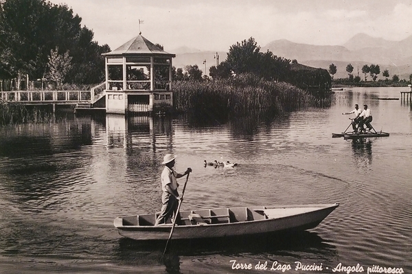 Cartolina - Torre del Lago Puccini - Angolo pittoresco - …